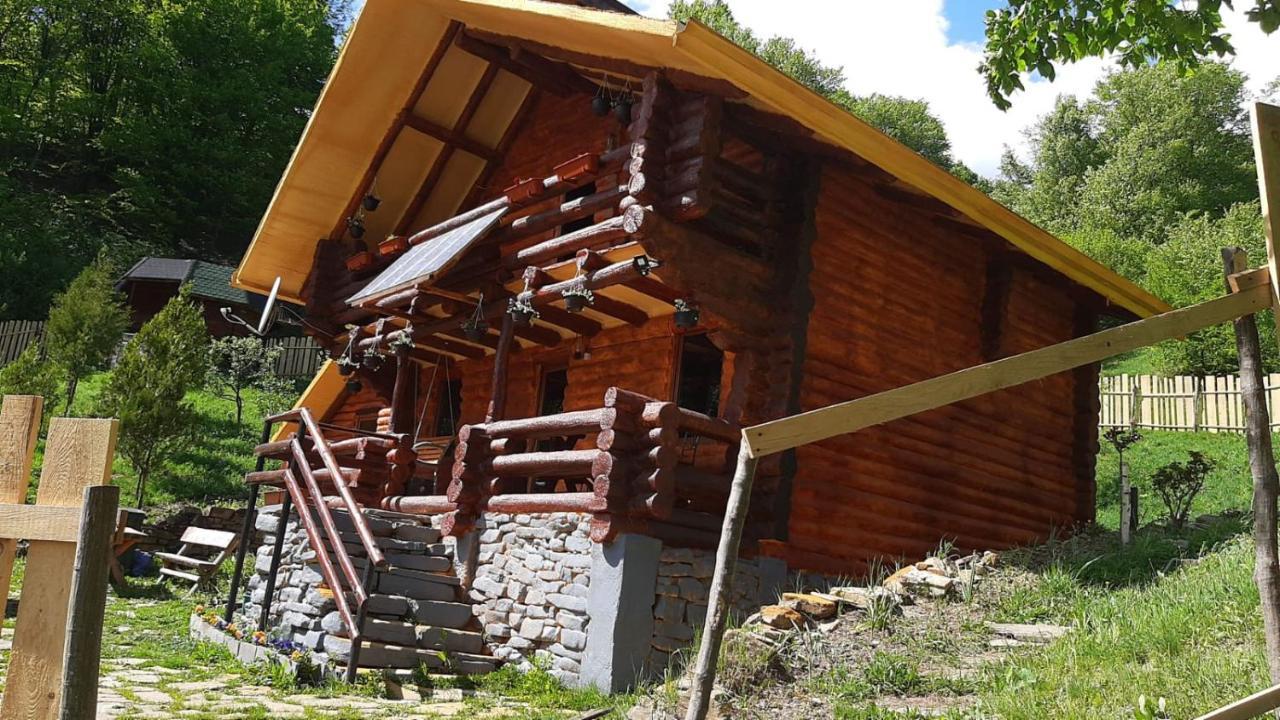 Pensiunea Izvorul Bucuriei Guest house Siriu