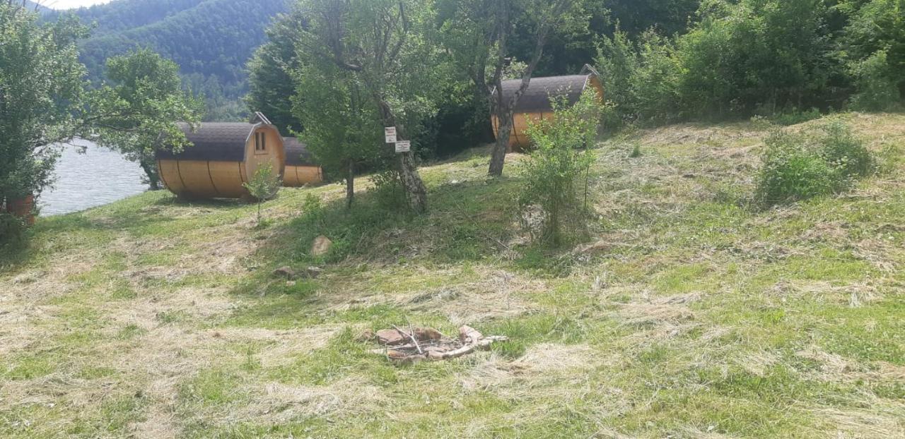Pensiunea Izvorul Bucuriei * Siriu