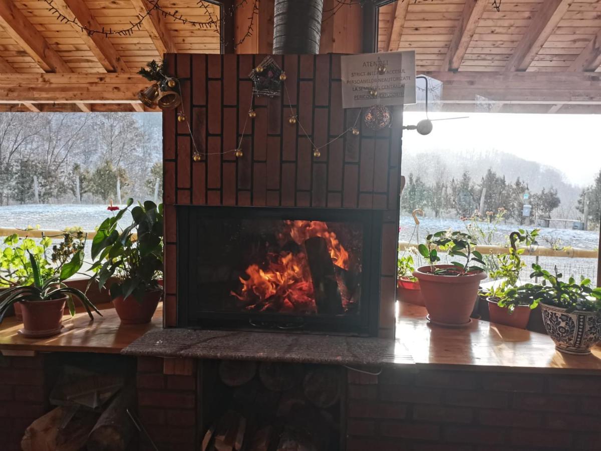 Pensiunea Izvorul Bucuriei Guest house *