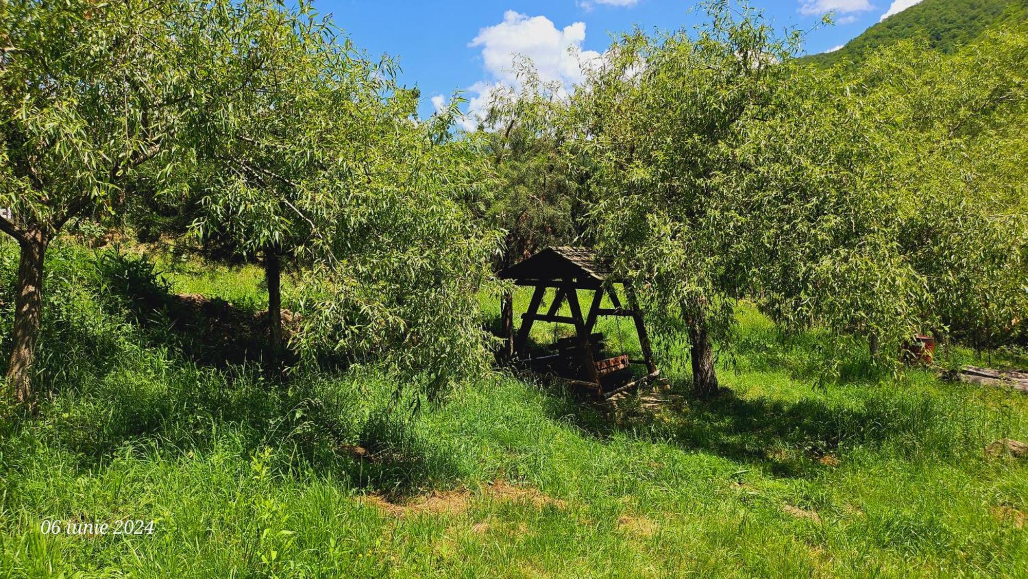 Pensiunea Izvorul Bucuriei Guest house Siriu