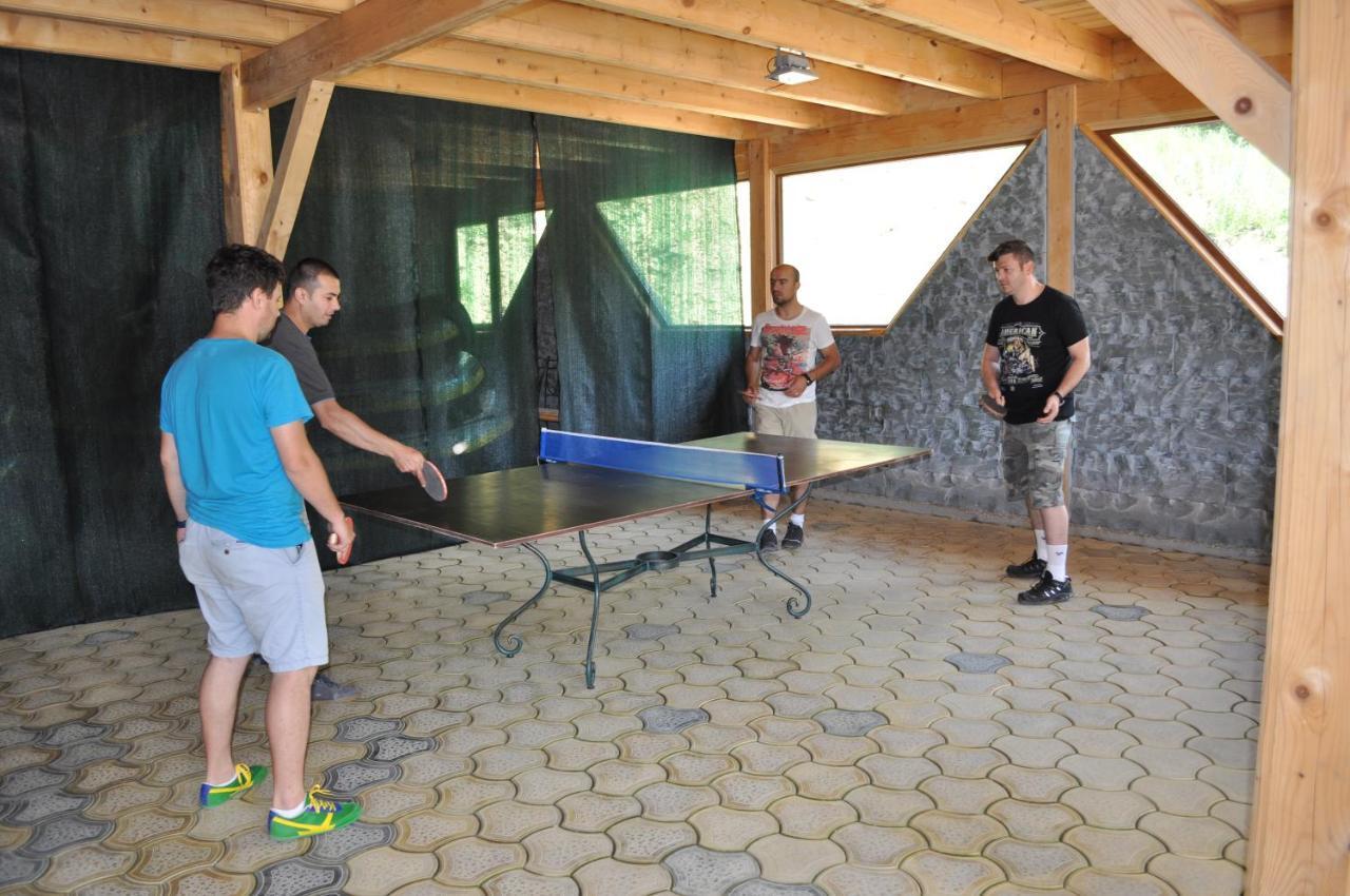 Pensiunea Izvorul Bucuriei Guest house Siriu
