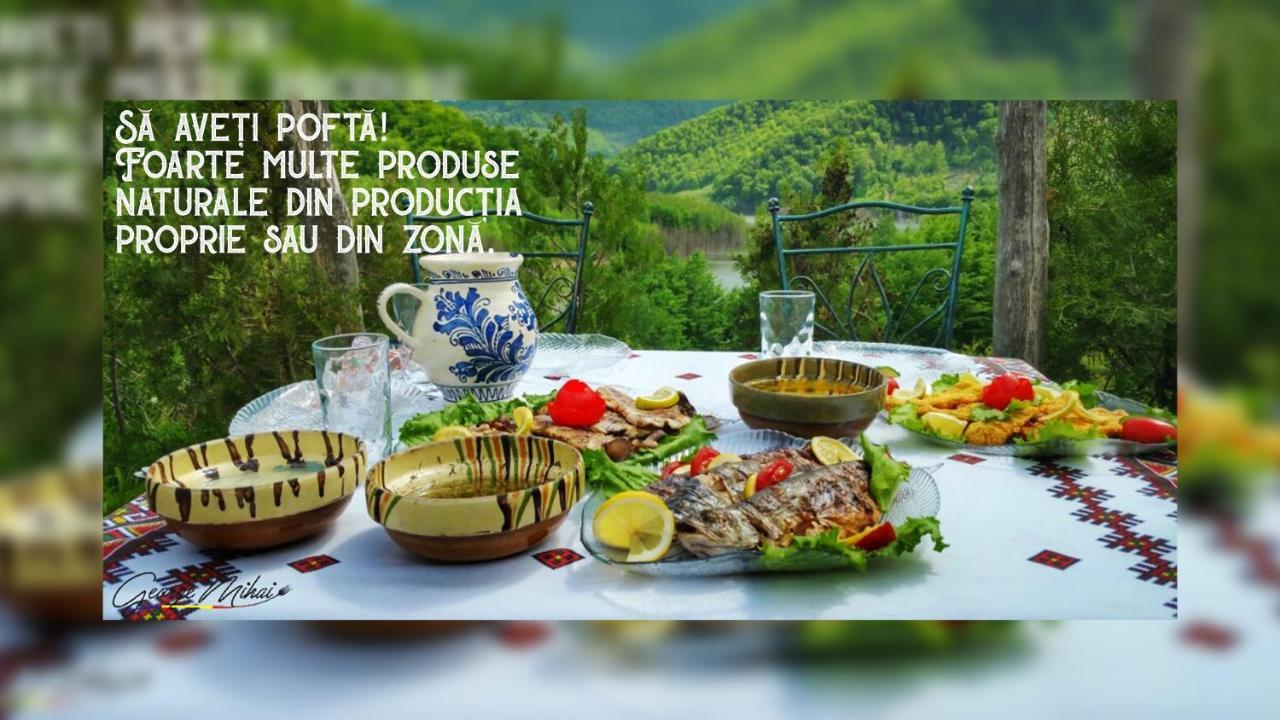 Guest house Pensiunea Izvorul Bucuriei